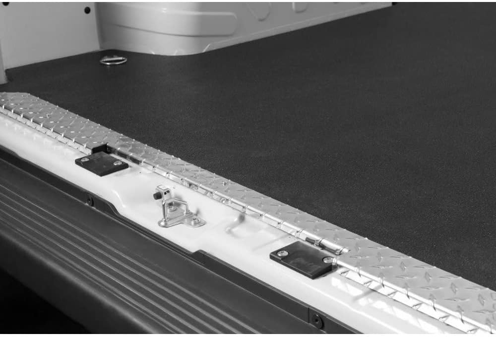212 Main Promaster Aluminum Threshold Sill Plates Side & Rear-Sell with Floor Mat