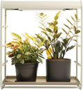 Vego garden 1 Tier Tabletop Metal Corner Plant Stand Indoor with Grow Light, Full Spectrum LED Grow Light, Plant Rack for Seed Starting, Leafy, Herbs, Fruits & Microgreens