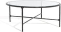 SAFAVIEH Couture Collection Jessa Black Metal/Tempered Glass Top Round Coffee Table (Fully Assembled)