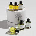 Eternal perfume oils Gift Set 6 Pcs Exquisite Scents Inspired by Iconic Fragrances Long Lasting perfumes for women Alcohol Free perfume for men Unisex Perfume Gift Set travel size womens Perfumes