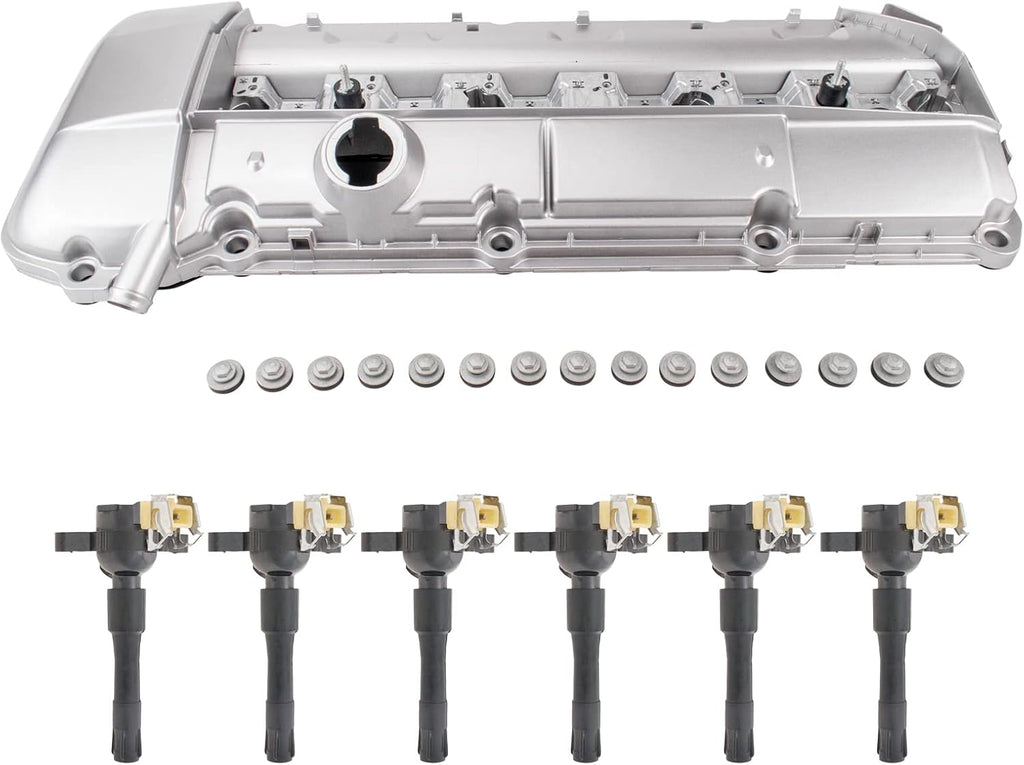 TRQ Ignition Coil Kit 7 Piece Valve Cover Compatible with 1999-2000 BMW 323i 2000 323Ci 2001-2002 325i 325Ci 325xi 2001-2002 330i 330Ci 330xi 2001-2002 530i 2001-2003 X5 1999-2002 Z3