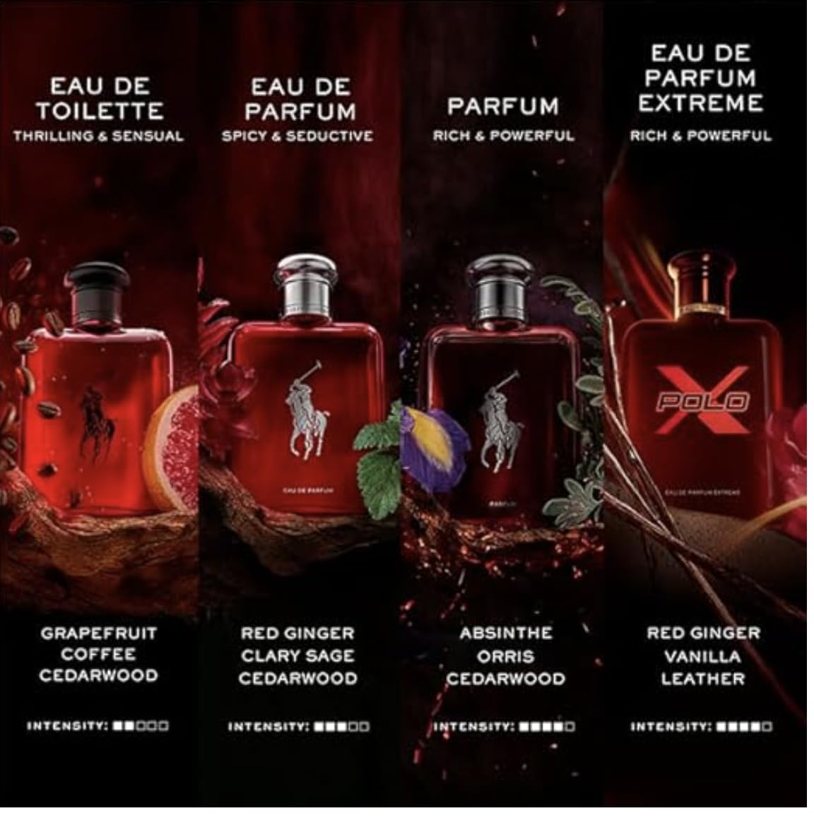 RALPH LAUREN FRAGRANCES - Polo Red - Parfum - Men's Cologne - Ambery & Woody - With Absinthe, Cedarwood, and Musk - Intense Fragrance