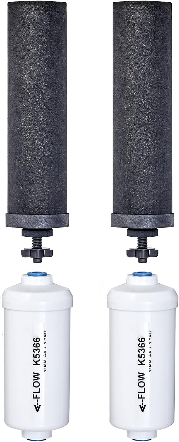 Set of 2 Berkey Authentic Black Berkey Elements (BB9-2) and 2 PF-2 Fluoride Reduction Elements - Combo Pack