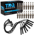 TRQ Spark Plug Kit 17 Piece Iridium Spark Plugs Compatible with 2003-2005 Dodge Ram 1500, 2500, 3500 2004-2005 Durango