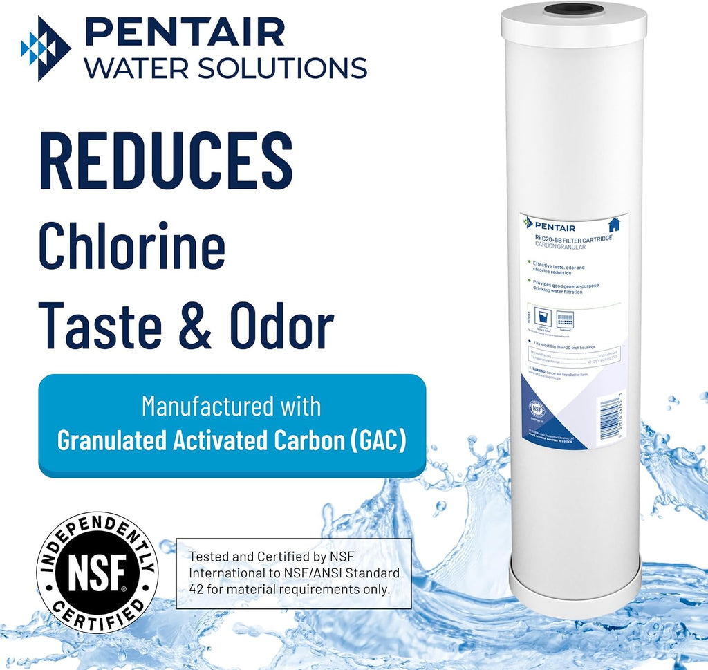 Pentair Pentek RFC-BB Big Blue Radial Flow Carbon Water Filter, 10-Inch, Whole House Granular Activated Carbon (GAC) Replacement Cartridge, 10' x 4.5', 25 Micron, Pack of 2