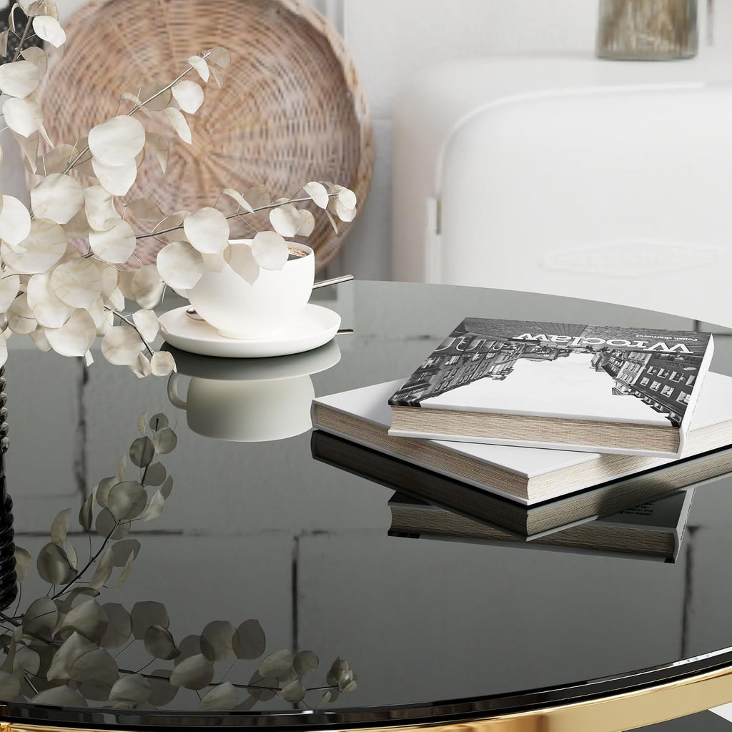 36'' Tempered Glass Round Coffee Table for Living Room, 2-Tier Modern Circle Coffee Table, Black Mirror Tabletop & Metal Drum Base, Easy Assembly, Black & Gold