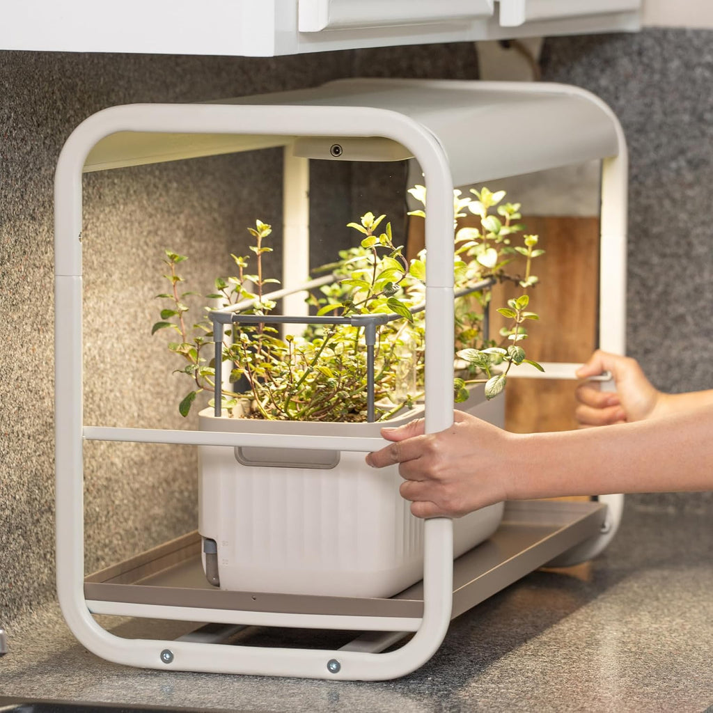 Vego garden 1 Tier Tabletop Metal Corner Plant Stand Indoor with Grow Light, Full Spectrum LED Grow Light, Plant Rack for Seed Starting, Leafy, Herbs, Fruits & Microgreens