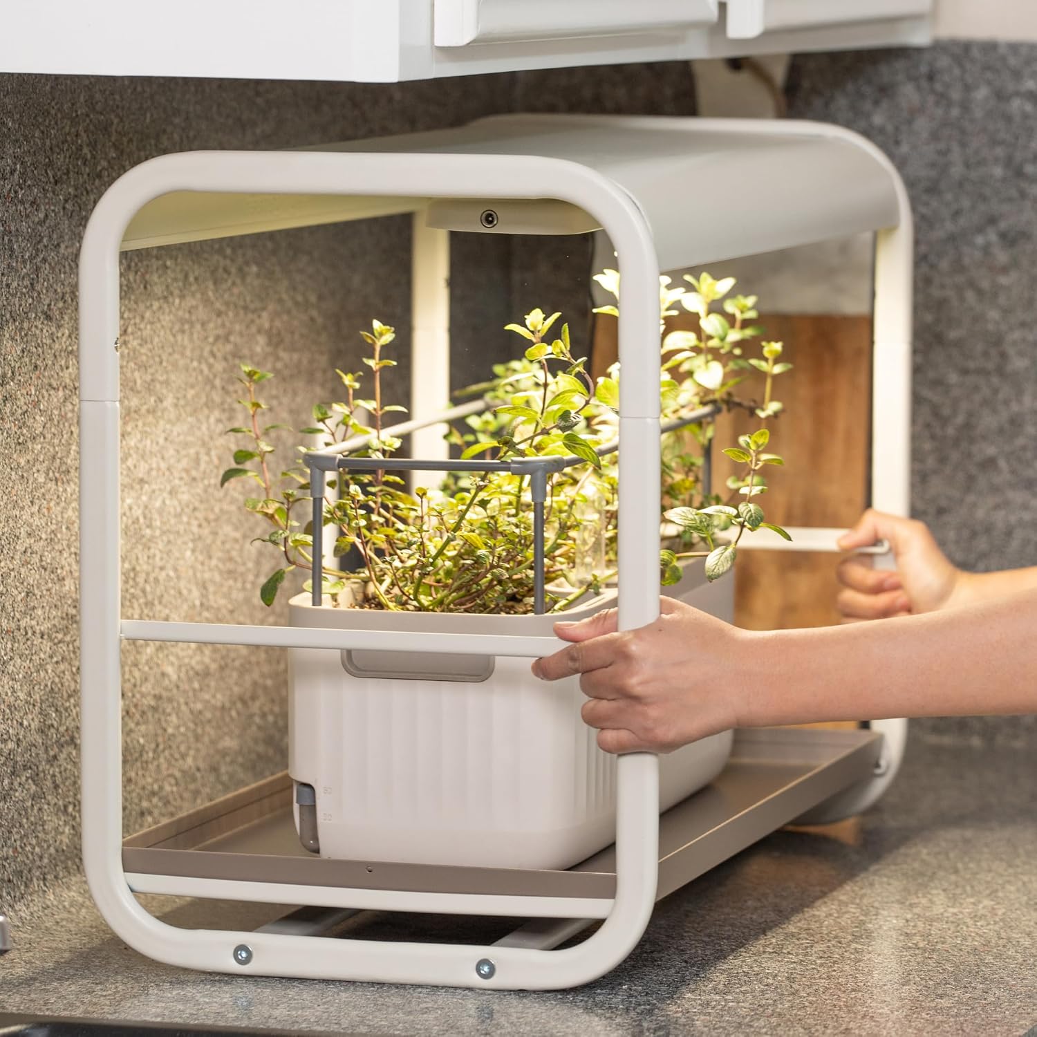 Vego garden 1 Tier Tabletop Metal Corner Plant Stand Indoor with Grow Light, Full Spectrum LED Grow Light, Plant Rack for Seed Starting, Leafy, Herbs, Fruits & Microgreens
