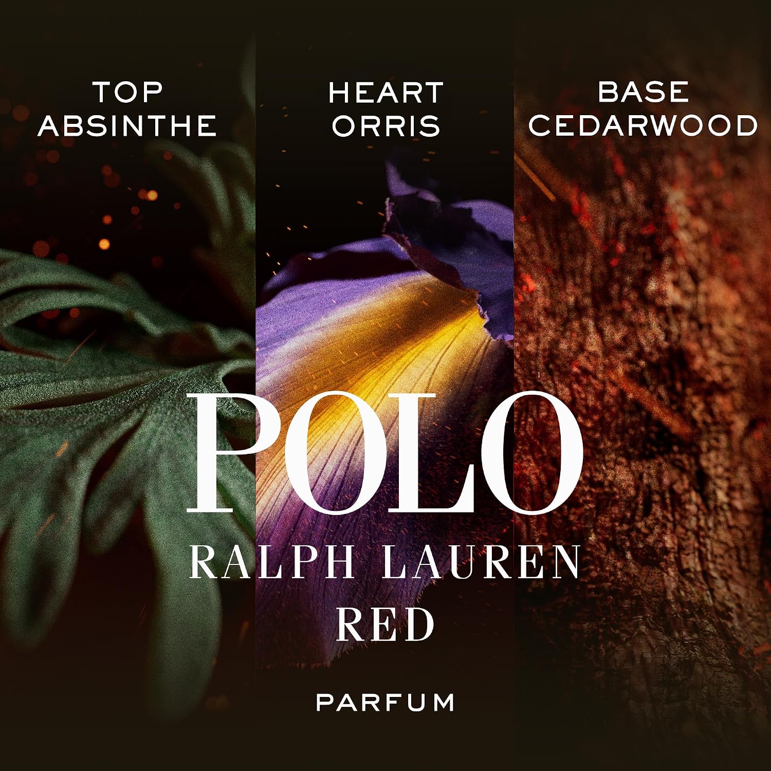 RALPH LAUREN FRAGRANCES - Polo Red - Parfum - Men's Cologne - Ambery & Woody - With Absinthe, Cedarwood, and Musk - Intense Fragrance
