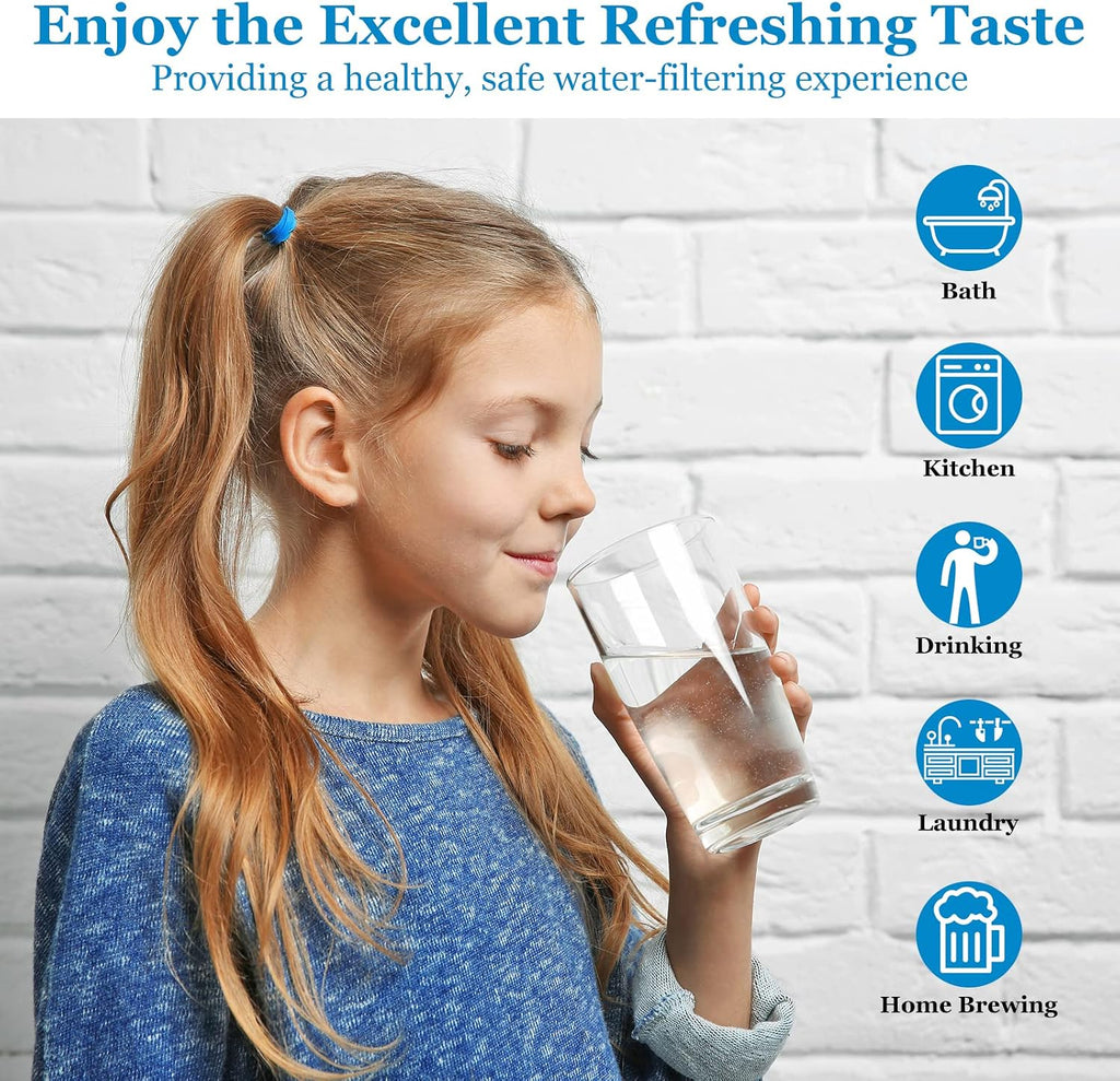 20 Micron 20-Inch Heavy Duty Whole House Water Filter Replacement Cartridge, Pleated Sediment Water Filters 4.5' x 20' for Well Water, Compatible with ECP5-20BB, R30-20BB, SPC-45-2050, 6 Pack