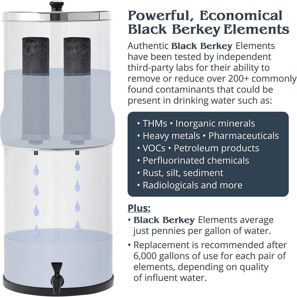 Berkey Authentic Black Berkey Purification Elements - Berkey Water Purifier Replacement Filters (Pack of 2)