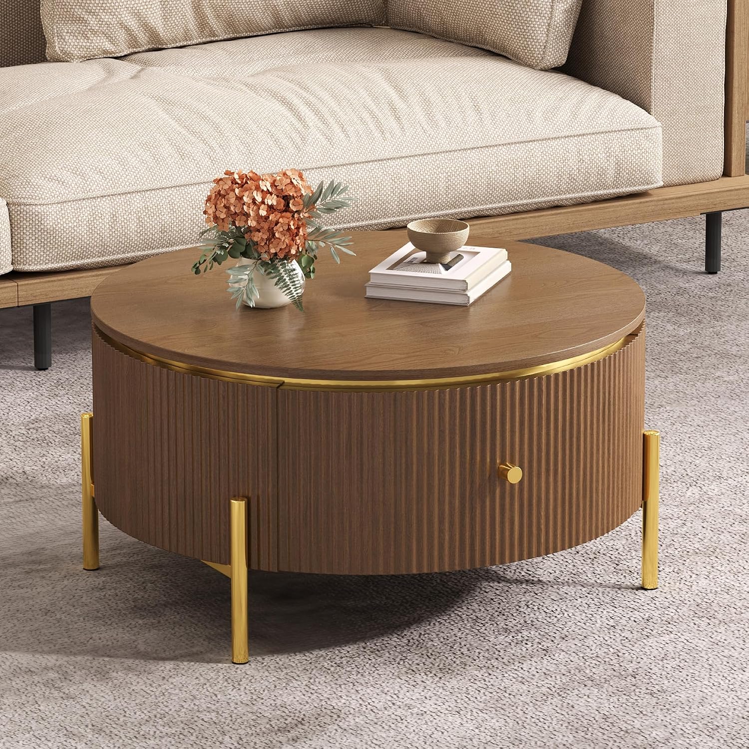 31.5' Modern Round Coffee Table with 2 Large Drawers Storage Accent Table, Brown
