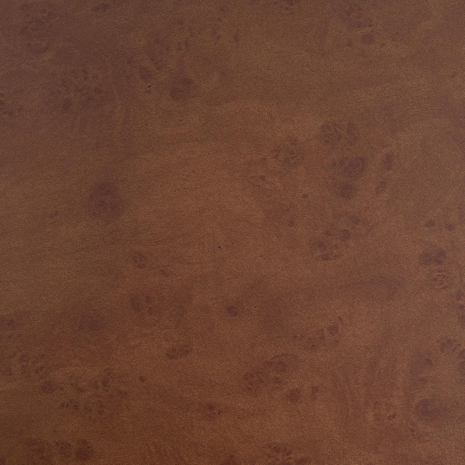 WILLIAMSPACE 31.49' Round Coffee Table with Faux Burl Wood Veneer & Pedestal, Modern Wood Circle Drum Center Table for Living Room, Circular Accent Side End Table for Apartment, 13.77' H (Walnut)