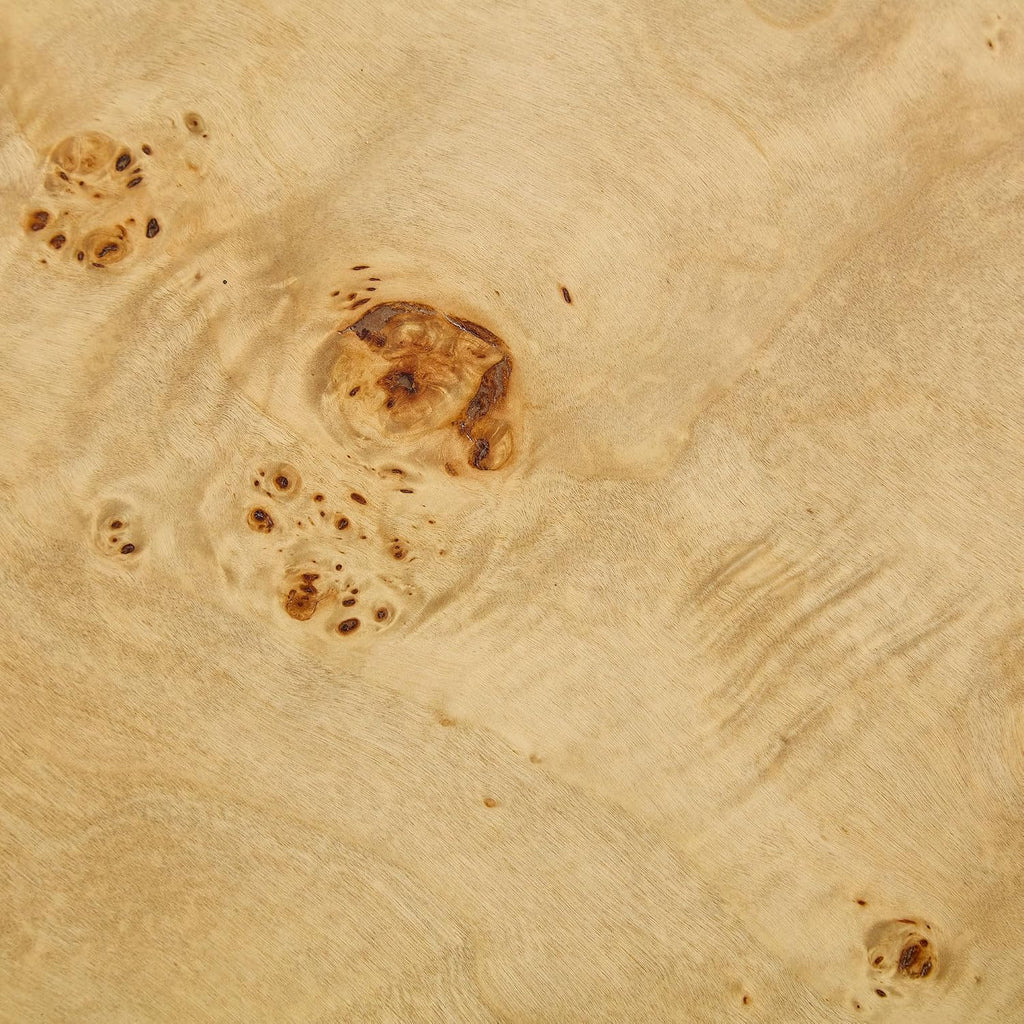 WILLIAMSPACE 43.31' Rectangle Coffee Table with Burl Wood Veneer & Sturdy Base, Modern Luxury Wood Drum Center Table Accent Side End Table for Living Room Apartment, Natural